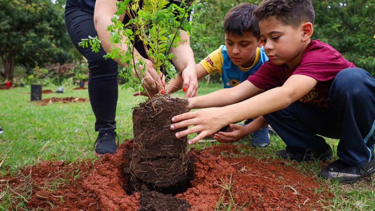 Ao longo do ano, foram plantadas 514 mudas de espécies nativas no Parque do Ingá
