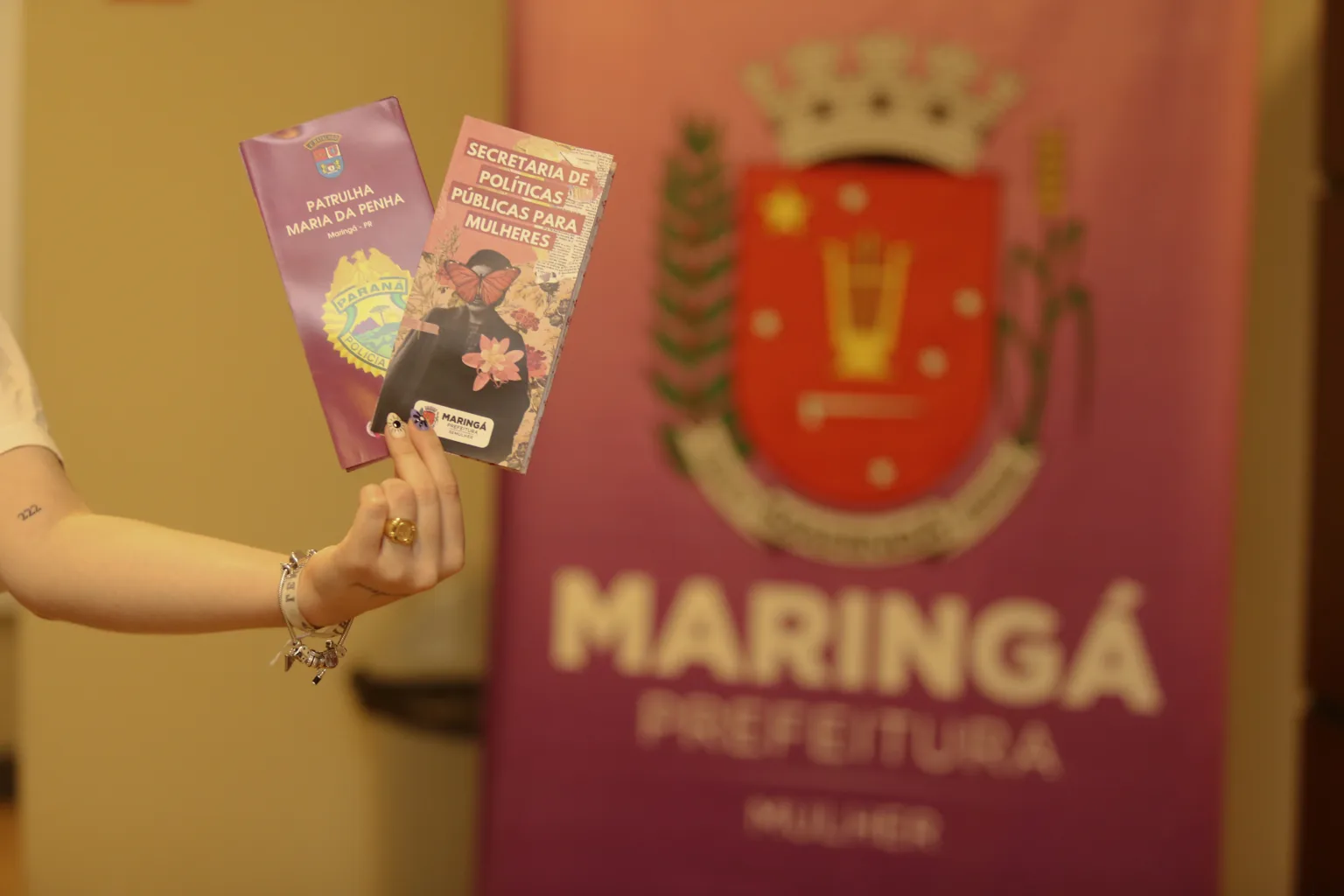 enfrentamento a violencia