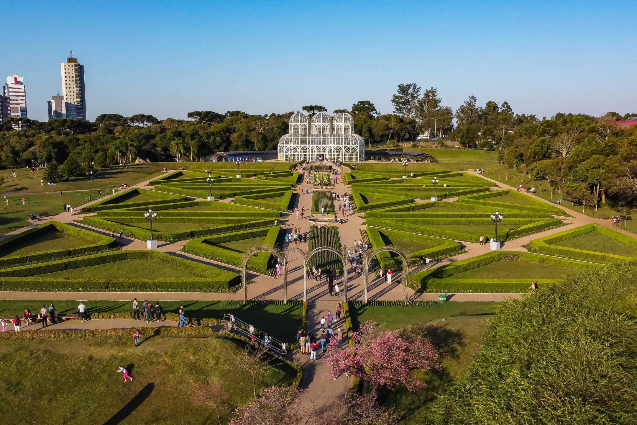 jose fernando ogura aen 3