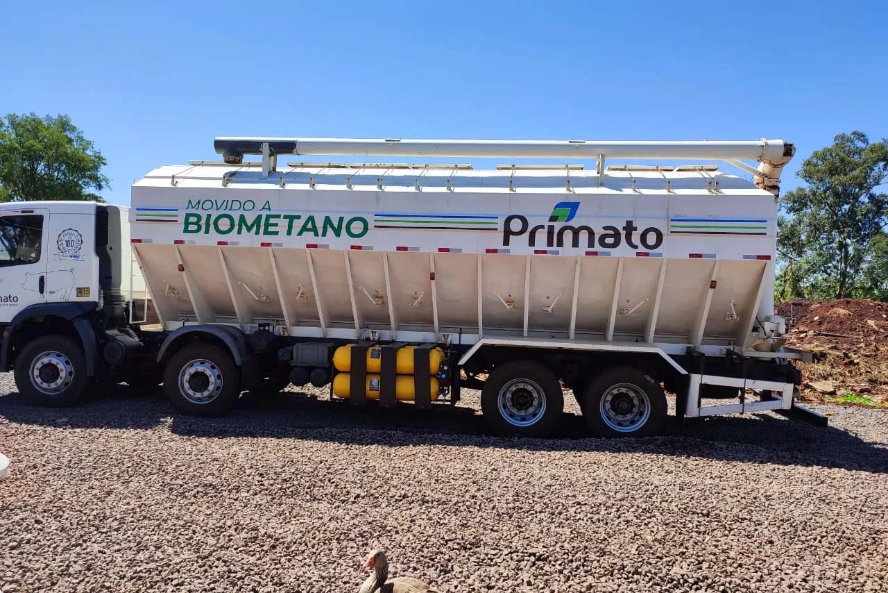 whatsapp image 2026 01 22 at 09.01.111