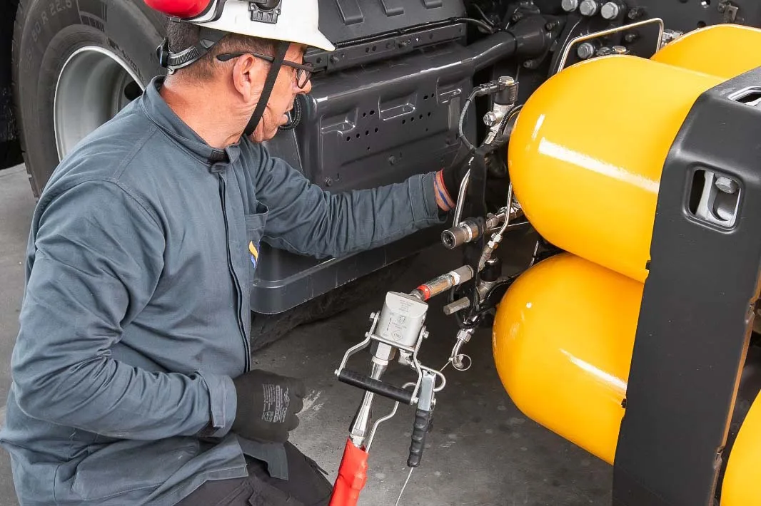 whatsapp image 2026 01 22 at 09.02.11