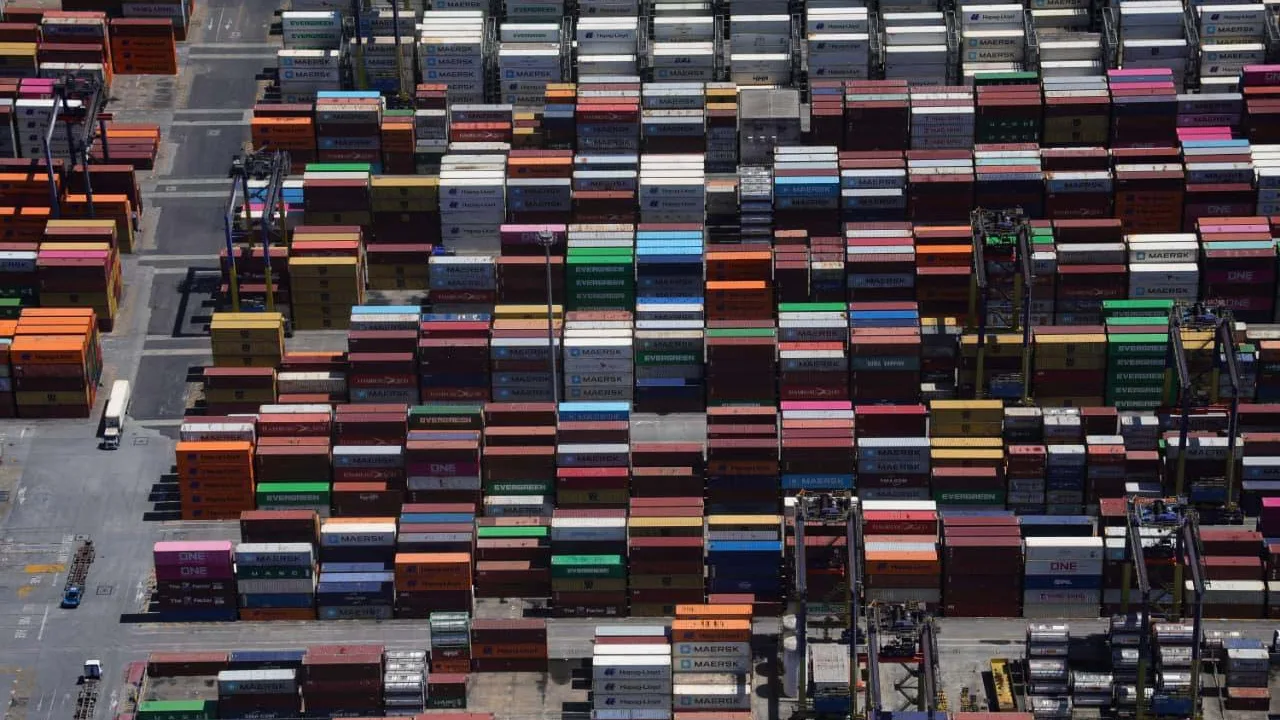 whatsapp image 2026 01 22 at 14.26.30