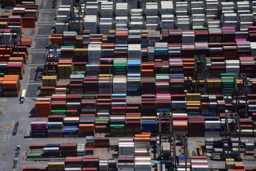 whatsapp image 2026 01 22 at 14.26.30