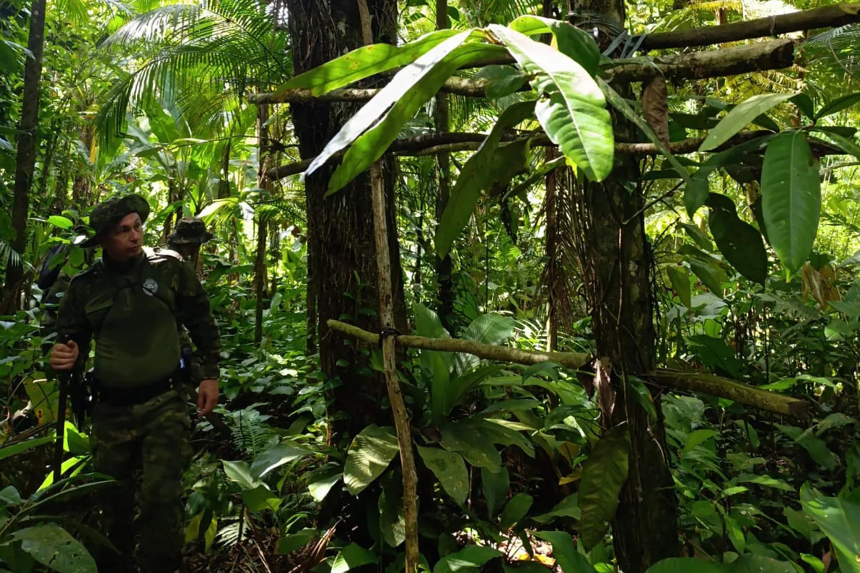 whatsapp image 2026 01 31 at 16.12.26 1