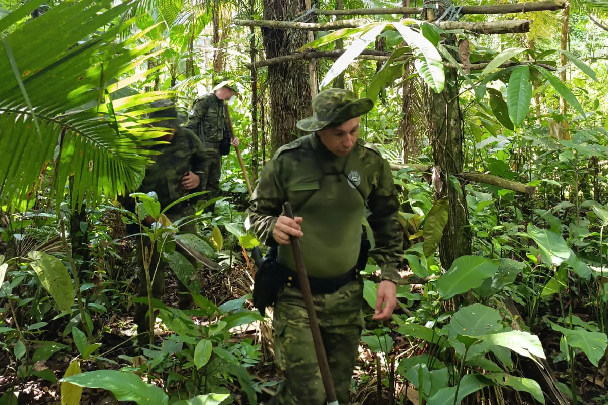 whatsapp image 2026 01 31 at 16.12.26 2