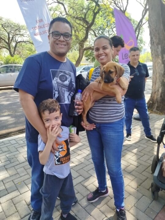 Nove cães resgatados pelo município ganham novos lares com Feira Motirõ 4 392543c6 7e65 44c2 88b6 8bc48631727d - Saiba Já News
