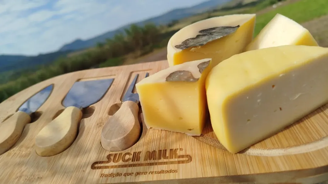 Feira Sabores do Paraná reunirá trajetórias inspiradoras e produtos premiados 2 4 0 - Saiba Já News