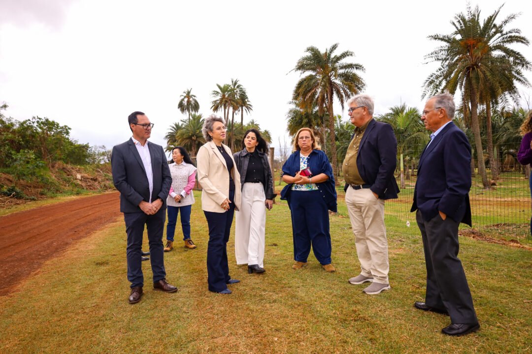 6eed0297 fd37 40fe ba53 be9739835bea