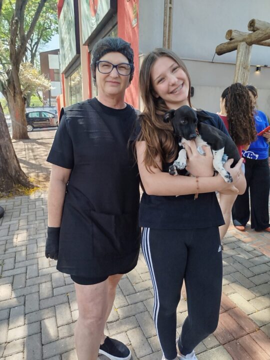 Nove cães resgatados pelo município ganham novos lares com Feira Motirõ 5 7c1499ea 8158 46f2 98a8 ec38f0d988cd - Saiba Já News