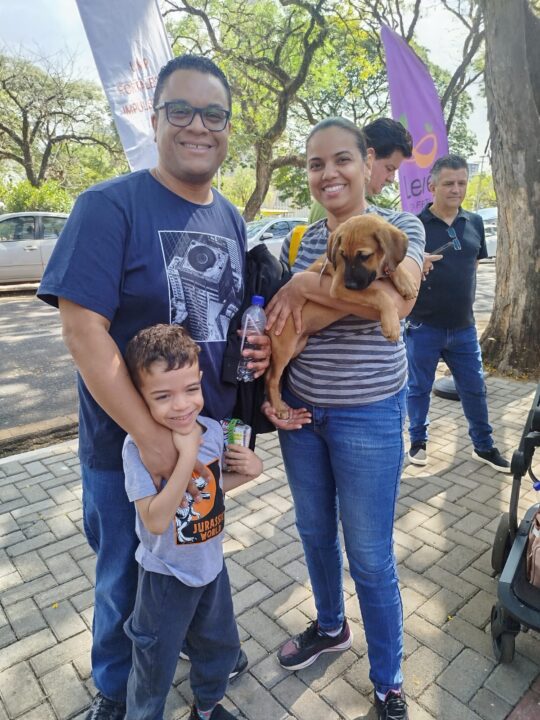 Nove cães resgatados pelo município ganham novos lares com Feira Motirõ 6 8a8b0873 3dd8 4c0e b74f 2e98393da32a - Saiba Já News