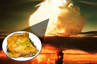 Do Minerio a Explosao Entendendo a Bomba Atomica de Uranio