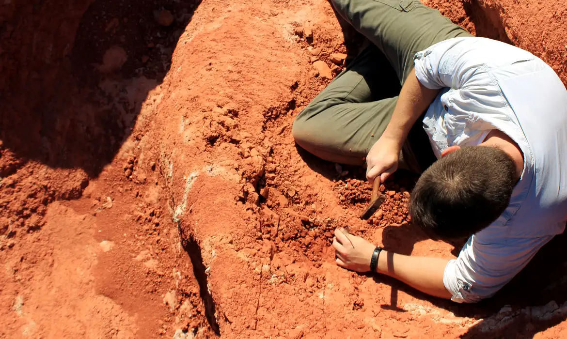 Fóssil no Brasil revela segredos sobre origem dos dinossauros