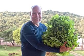 Jose Carlos Pacifico conhecido como Professor Pacifico e fundador do projeto social Hortevida que promove hortas comunitaria - Saiba Já News
