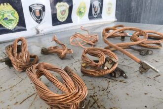 ROMU Canil da GCM de Maringa Prende Ladrao de Fios de Cobre na Vila Morangueira