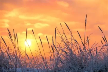 Sol e frio