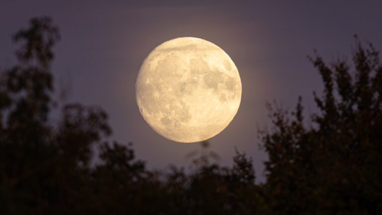 Superlua do Castor GettyImages 2172703757 768x432 1 - Saiba Já News