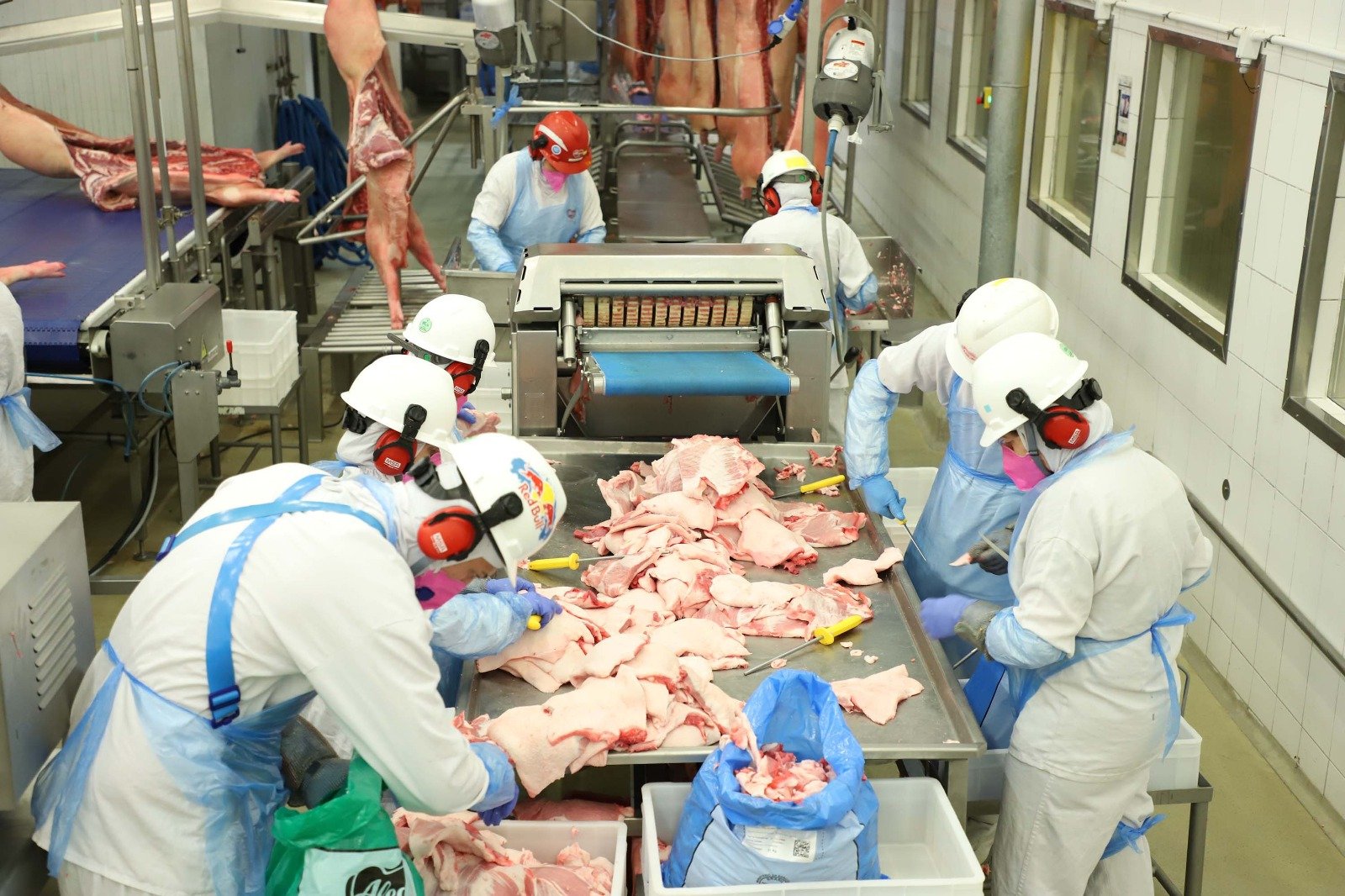 Paraná vai exportar carne suína para o Chile 2 Paraná vai exportar carne suína para o Chile