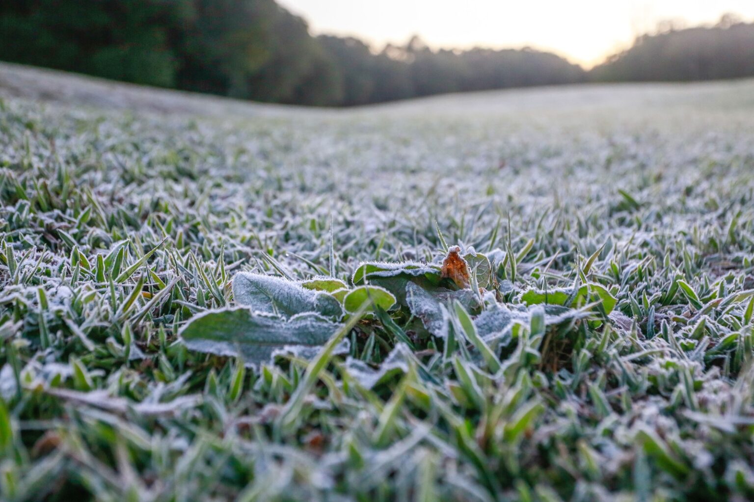 Frio no Paraná