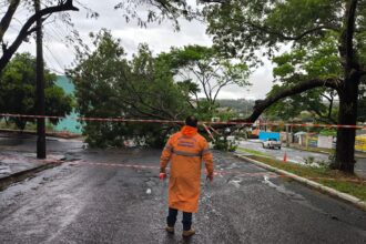 atendimento de ocorrencias causadas pelas chuvas e ventos fortes - Saiba Já News