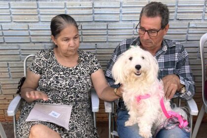 CastraPet Paraná conclui 4º ciclo e prepara nova fase para atender 100% dos municípios