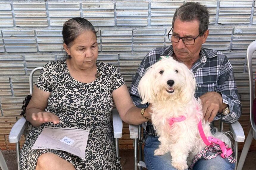 CastraPet Paraná conclui 4º ciclo e prepara nova fase para atender 100% dos municípios