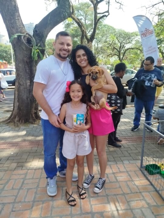 Nove cães resgatados pelo município ganham novos lares com Feira Motirõ 8 bcae0cbd a4ac 49be add4 d841f69e74b9 - Saiba Já News
