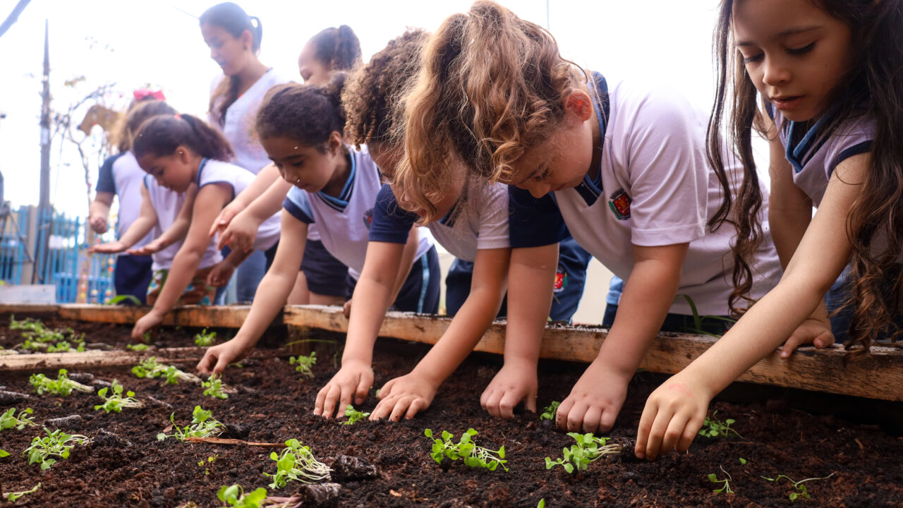 c4142c46 2852 4995 9330 0837ce264c94 - Saiba Já News