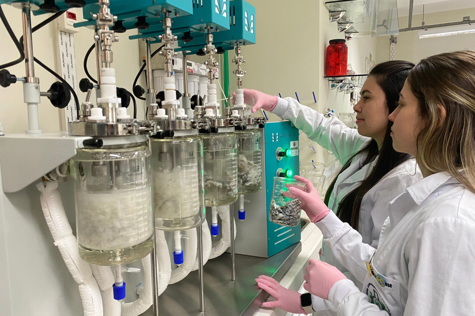 Pesquisa no Paraná transforma resíduos de tilápia em colágeno