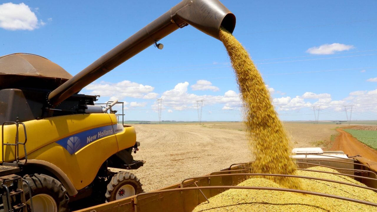 Vazio Sanitário da Soja Entra em Vigor em Todo o Paraná a Partir de Sábado, 21 de junho