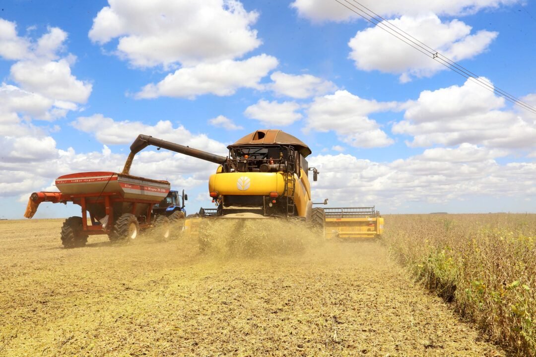 Vazio Sanitário da Soja Entra em Vigor em Todo o Paraná a Partir de Sábado, 21 de junho 3 colheitasoja 033