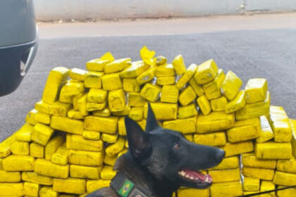 whatsapp_image_2025-07-11_at_17.21.38