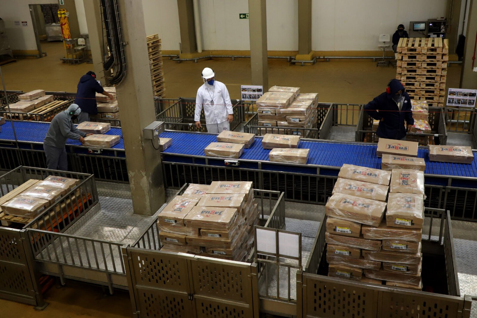 Supermercado do mundo: Paraná exporta mais alimentos que países como Japão, Portugal e Coreia do Sul 13 frangotoleod 010