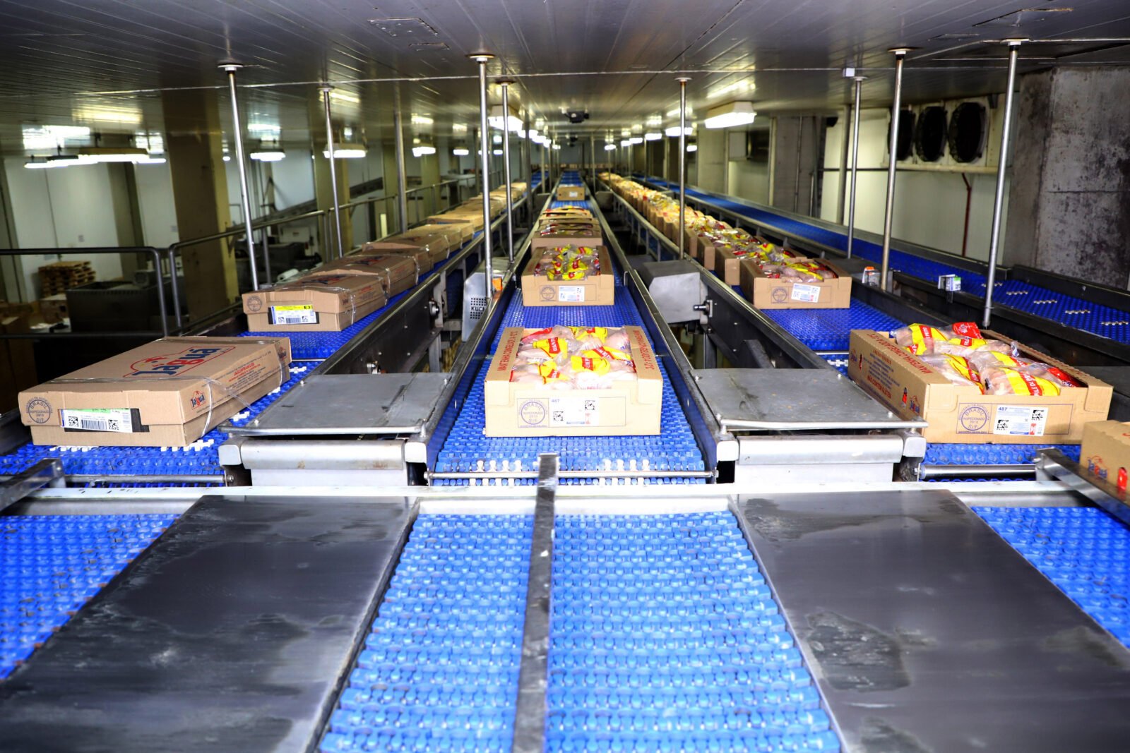 Supermercado do mundo: Paraná exporta mais alimentos que países como Japão, Portugal e Coreia do Sul 5 frangotoleod 011