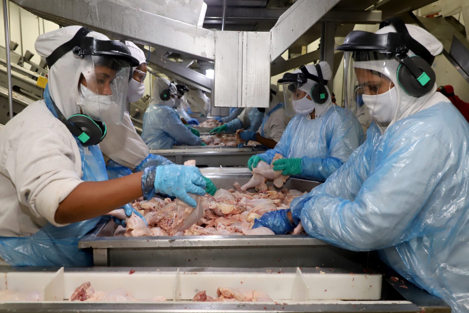 Supermercado do mundo: Paraná exporta mais alimentos que países como Japão, Portugal e Coreia do Sul 4 frangotoleod 021