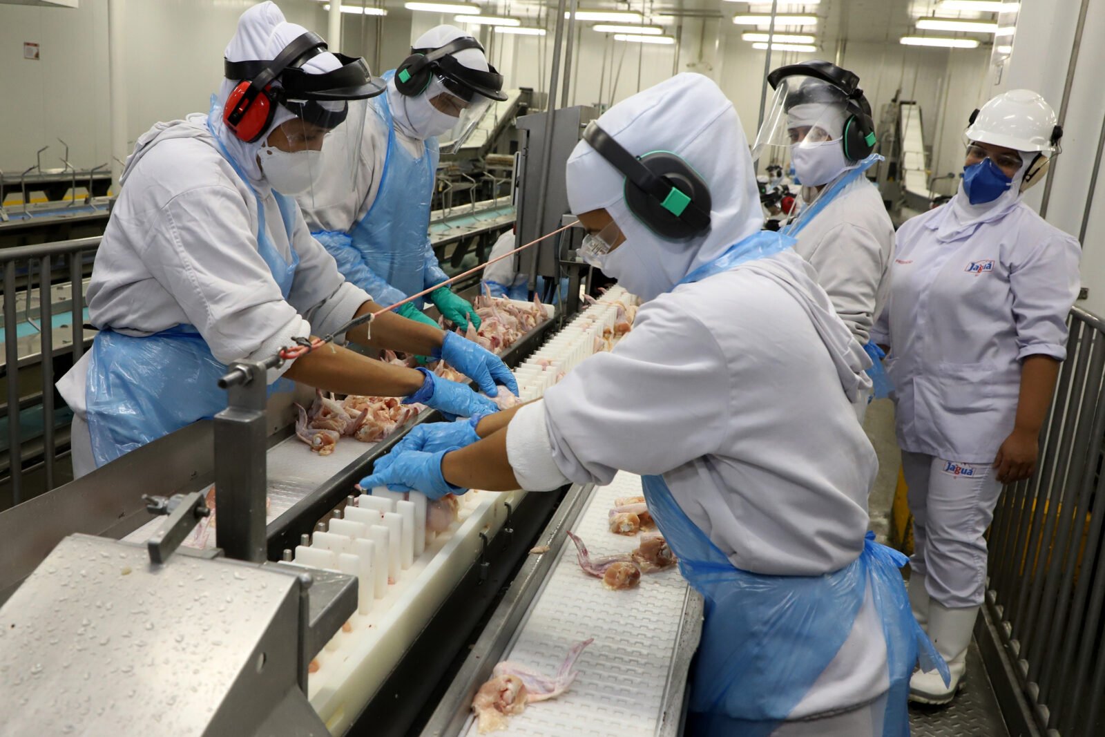 Supermercado do mundo: Paraná exporta mais alimentos que países como Japão, Portugal e Coreia do Sul 11 frangotoleod 038