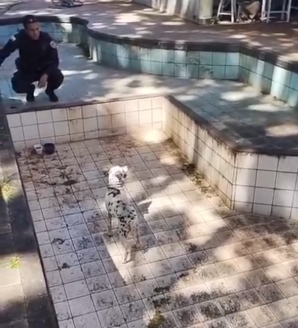 image 252 - Saiba Já News