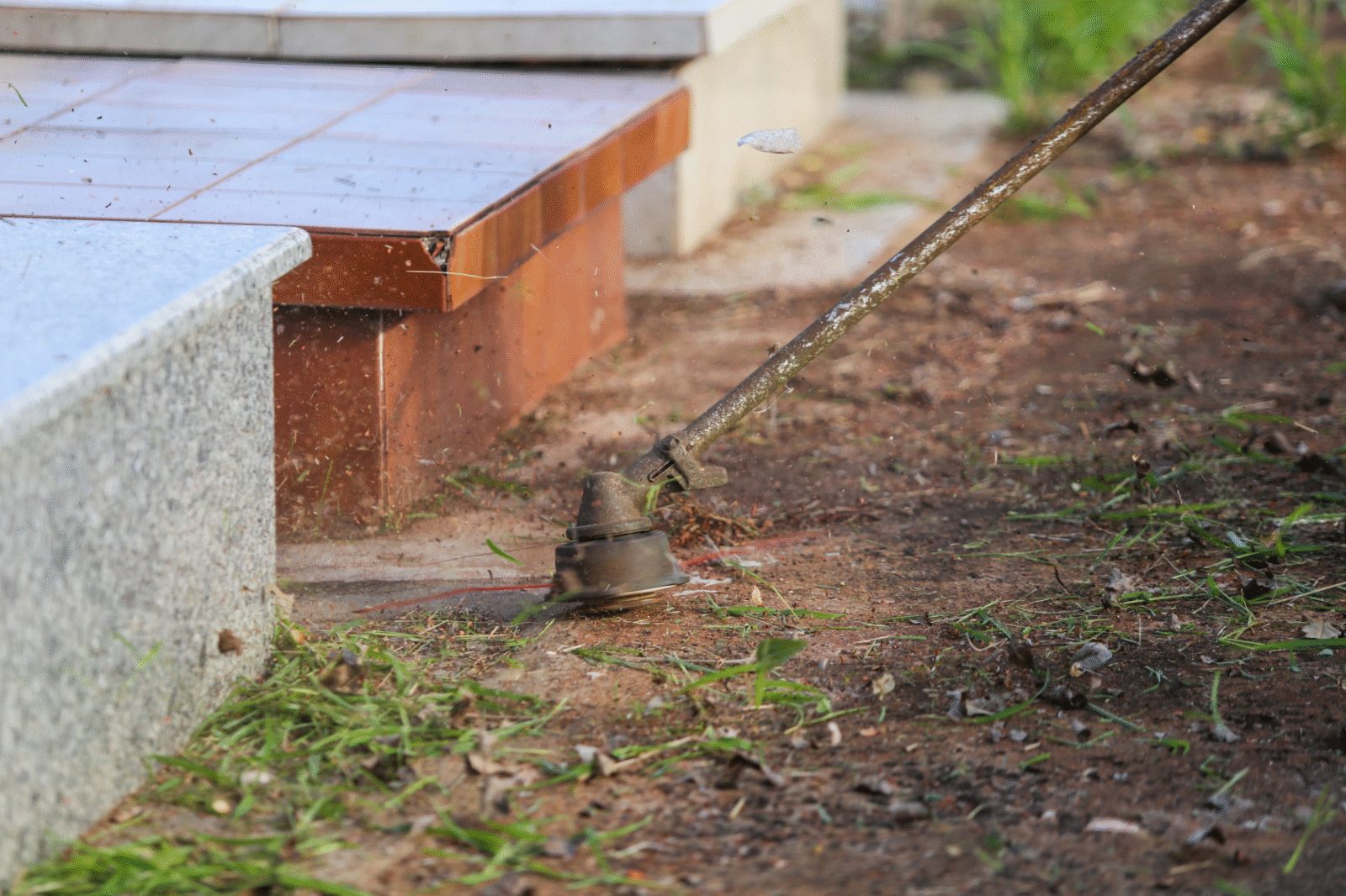 Prefeitura de Maringá intensifica serviços de manutenção no Cemitério e prepara o local para receber visitantes no Dia das Mães; estimativa é receber de 10 a 15 mil pessoas na data 3 image 32