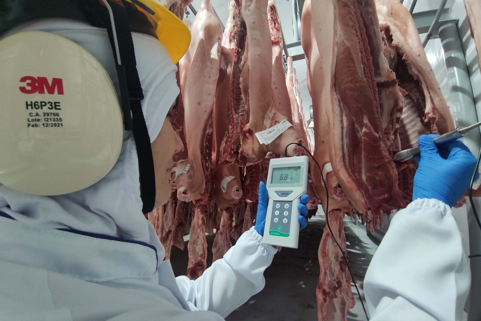 Supermercado do mundo: Paraná exporta mais alimentos que países como Japão, Portugal e Coreia do Sul 2 img 20220701 101731