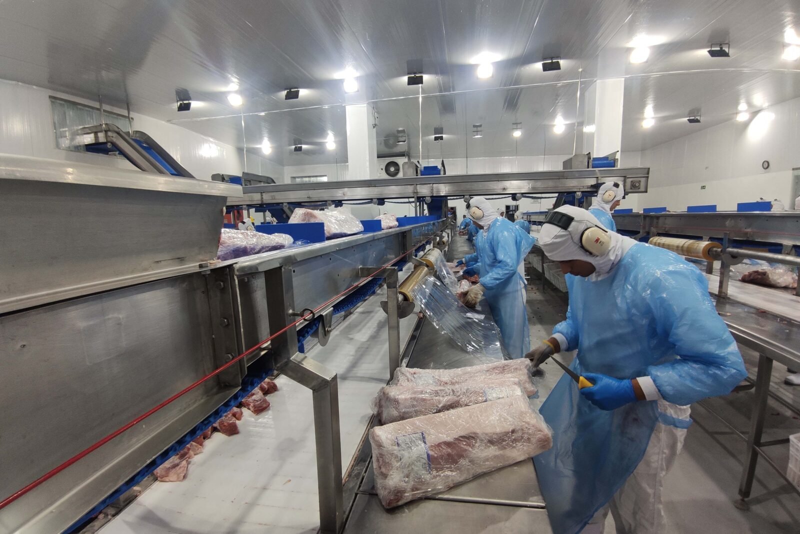 Supermercado do mundo: Paraná exporta mais alimentos que países como Japão, Portugal e Coreia do Sul 15 img 20220701 102530