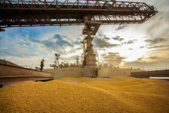 Com Forte Crescimento em 2024, Paraná Consolida a Segunda Posição nas Exportações de Milho do País