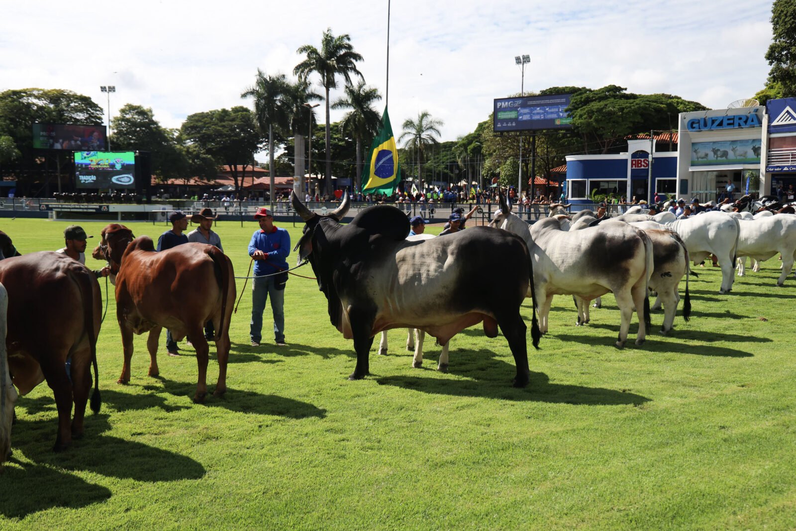 Paraná mostra força na pecuária durante a 90ª ExpoZebu em Minas Gerais 4 whatsapp image 2025 04 26 at 12.13.57 1