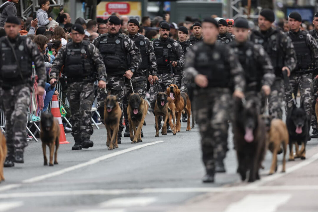 203 anos da Independência: 6,5 mil pessoas desfilam no 7 de Setembro em Curitiba 27 whatsapp image 2025 09 07 at 11.20.14 1 - Saiba Já News