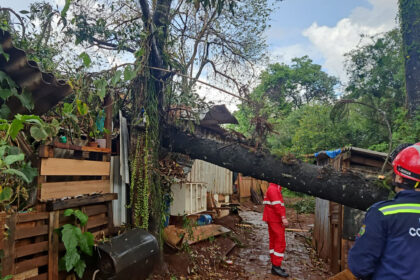whatsapp image 2025 09 22 at 17.08.17 - Saiba Já News